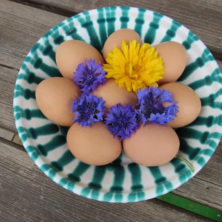 Almhuette Brandgut *