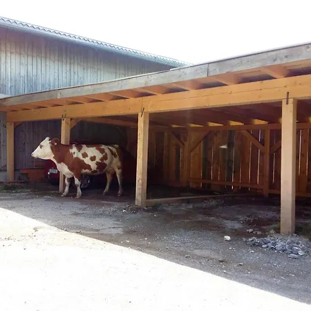 Almhuette Brandgut Horská chata