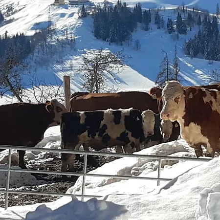 Almhuette Brandgut Horská chata