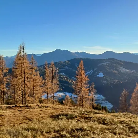 Almhuette Brandgut * Mühlbach am Hochkönig