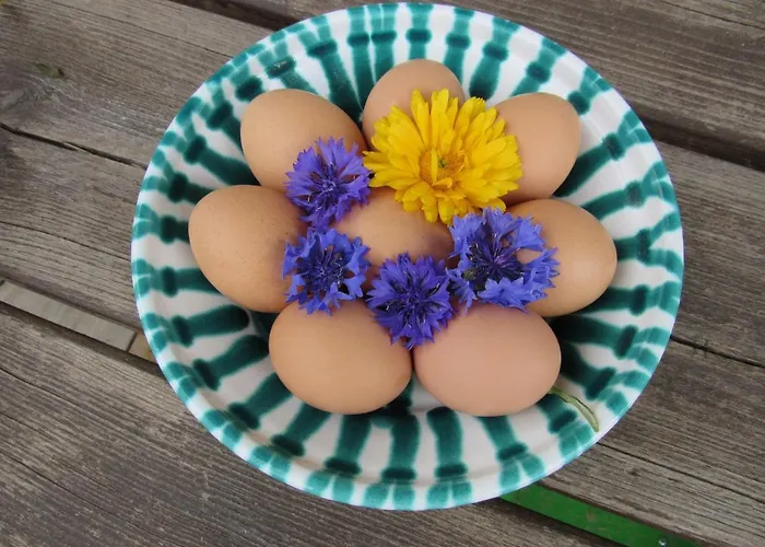 Almhuette Brandgut *