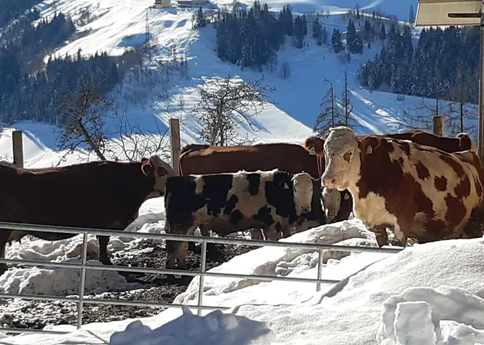 Almhuette Brandgut Domek alpejski