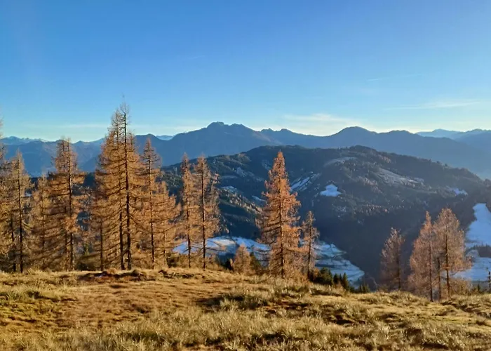 Almhuette Brandgut * Mühlbach am Hochkönig